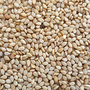 Sesame Seeds
